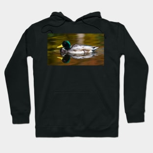 Restful Waters Hoodie